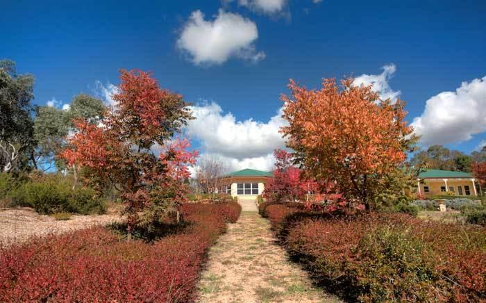 Accommodation Creek Cottages & Sundown View Suites Ballandean Exterior foto